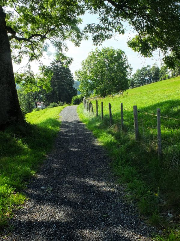 hillside path