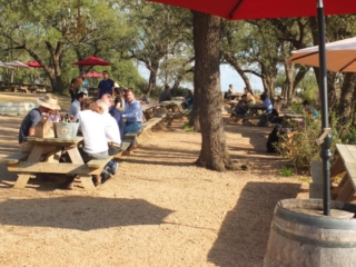 Jester King Beer Garden, Austin, TX