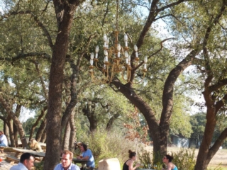 Jester King Beer Garden, Austin, TX Jester King Beer Garden, Austin, TX