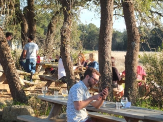 Jester Brewery Beer Garden, Austin, TX Jester Brewery Beer Garden, Austin, TX