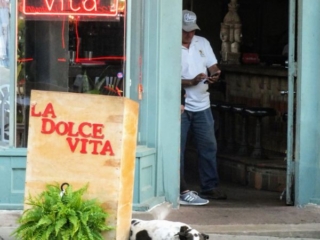 Sweet Life in Little Italy