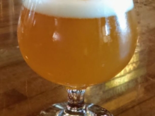 Platform Plain Beer - image by Bob Bellamy