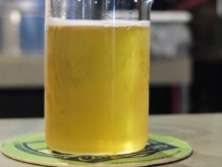 Braxton Labs Grungeist Pale Braxton Labs Grungeist Pale