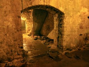 rediscovered beer cellar
