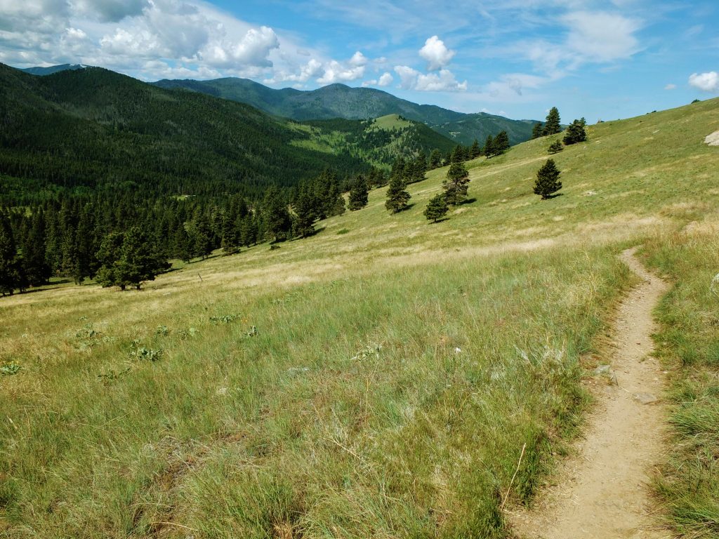 Mt. Helena Rdge trail