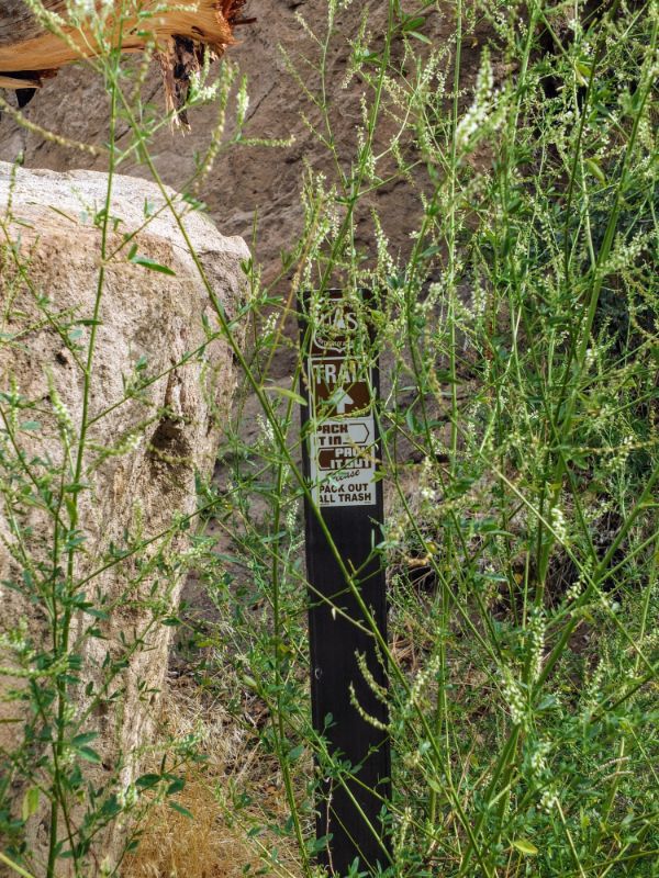 overgrown trail marker