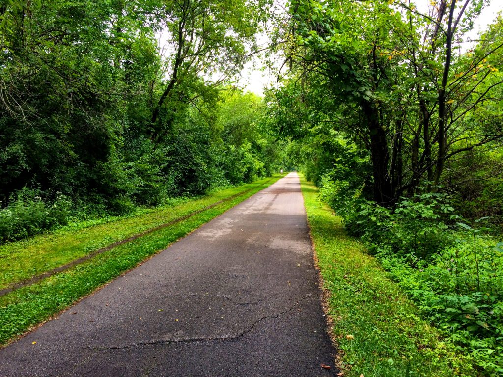 along the Oak Leaf Trail