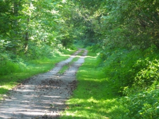 on the trail on the trail