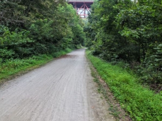 on the trail on the trail