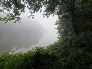 foggy river foggy river