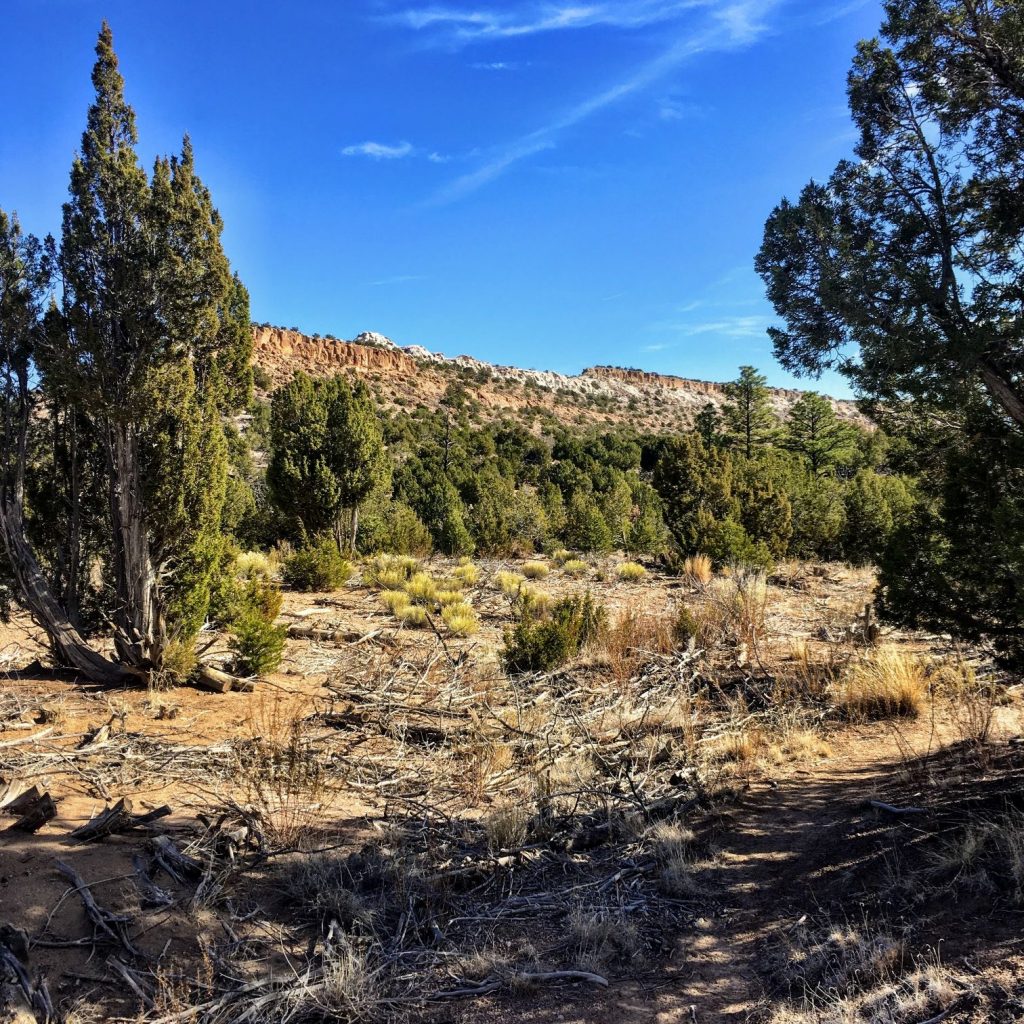 trail in the junipers trail in the junipers