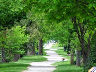 Central Canal Towpath Central Canal Towpath