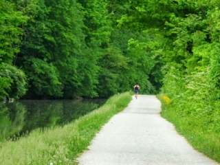 forest run forest run