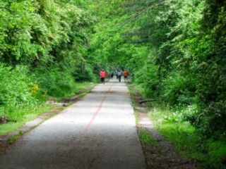into the green into the green