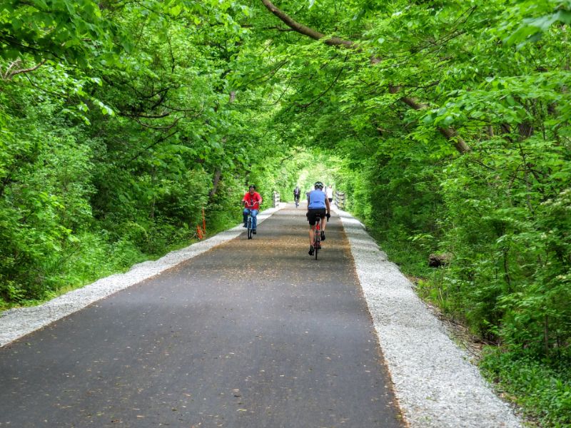 lots of tree lined stretches on the Monon