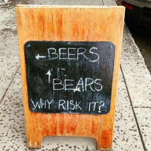 Beers or Bears