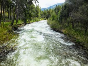 Lake Fork of Rock Creek