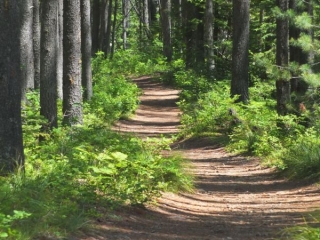 on the trail