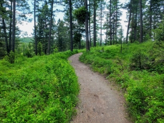 on the trail
