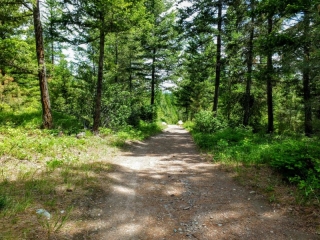 on the trail
