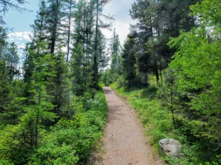 on the trail