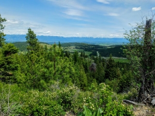 big view