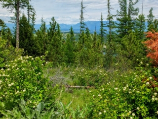 highview