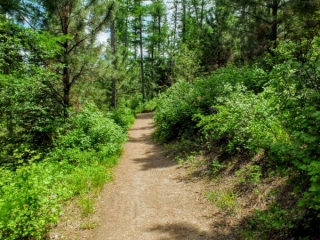 on the trail