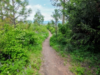 on the trail