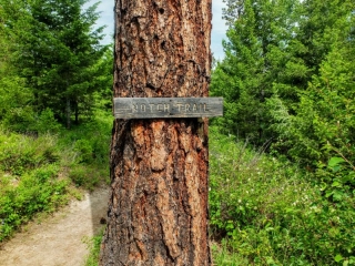 Notch Trail