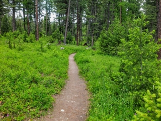 on the trail