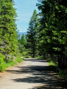 on the trail