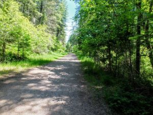on the trail