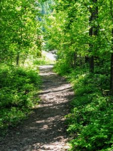 on the trail