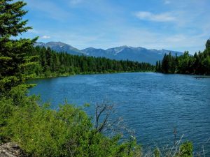 Swan Lake view