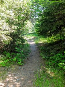 on the trail