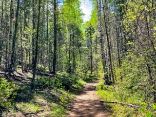 on the trail