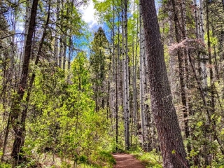 on the trail