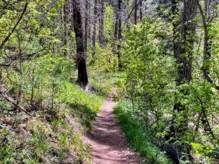 on the trail