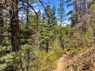 on the trail