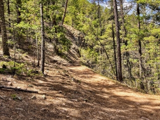 Bear Wallow Trail