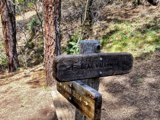 marker