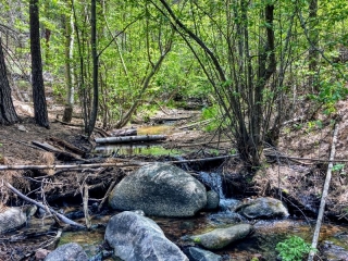 Tesuque Creek