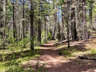 on the trail