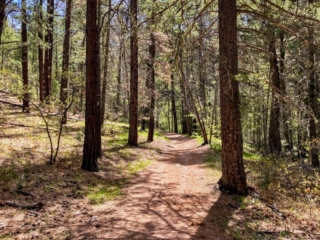 Winsor Trail