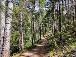 on the trail