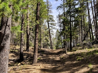 over the hill