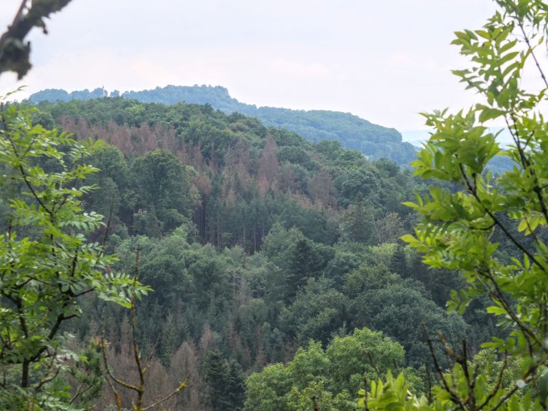 view toward Staffelberg