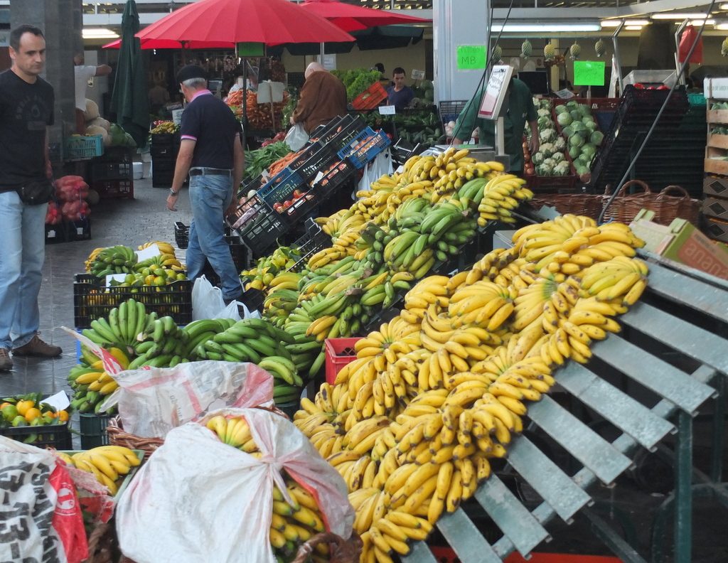 Azores Impressions - market goods