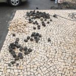 Azores Impressions - cobblestone art